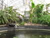 20100313124627-IMG_0164.JPG