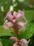 20100313124904-DSCF5332.JPG
