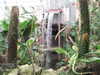 20100313125045-IMG_0173.JPG