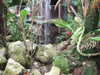 20100313125054-IMG_0174.JPG