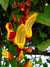 20100313125122-DSCF5338.JPG