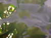 20100313125246-DSCF5343.JPG