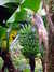 20100313125314-DSCF5344.JPG