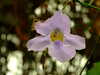 20100313125334-DSCF5346.JPG