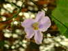 20100313125409-DSCF5347.JPG