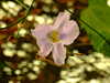 20100313125413-DSCF5348.JPG