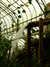 20100313125557-DSCF5351.JPG