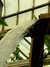 20100313125730-DSCF5355.JPG