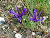 20100313130332-DSCF5359.JPG