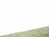 20100313145223-DSCF5373.JPG