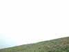 20100313145241-DSCF5374.JPG
