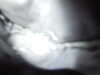 20100313145623-DSCF5377.JPG
