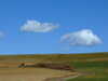 20100314110006-DSCF5389.JPG