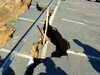 20100314110105-DSCF5391.JPG