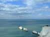 20100314124631-DSCF5402.JPG