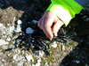 20100314125617-DSCF5409.JPG