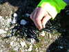 20100314125620-DSCF5410.JPG