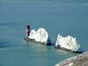 20100314125750-DSCF5412.JPG