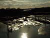 20100314160136-DSCF5438.JPG