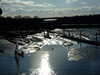 20100314160202-DSCF5439.JPG