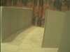 20100322-cam5-20100322-Mar40.jpg