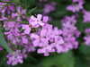 20100612130436-DSCF5479.JPG