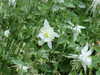 20100612130444-DSCF5480.JPG