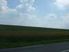 20100627120038-DSCF5484.JPG