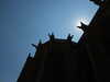 20100701122417-DSCF5572.JPG