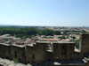 20100701125410-DSCF5583.JPG