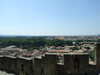 20100701125420-DSCF5584.JPG