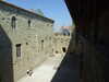 20100701133140-DSCF5593.JPG
