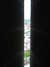 20100701134343-DSCF5601.JPG
