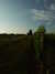 20100703173524-DSCF5696.JPG