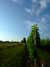 20100703173534-DSCF5697.JPG