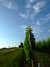 20100703173542-DSCF5698.JPG
