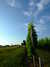 20100703173546-DSCF5699.JPG
