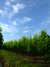 20100703173553-DSCF5700.JPG