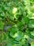 20100703173636-DSCF5704.JPG