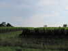 20100703174816-IMG_0700.JPG