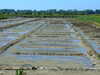 20100704163057-DSCF5715.JPG