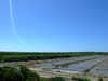 20100704163106-DSCF5716.JPG