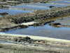 20100704163113-DSCF5717.JPG