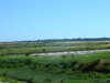 20100704164009-DSCF5726.JPG