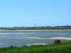 20100704164127-DSCF5728.JPG