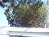20100704172415-DSCF5732.JPG
