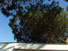 20100704172427-DSCF5733.JPG