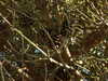 20100704172458-DSCF5735.JPG