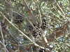 20100704172511-DSCF5736.JPG