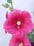 20100704204832-DSCF5755.JPG